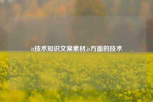 it技术知识文案素材,it方面的技术