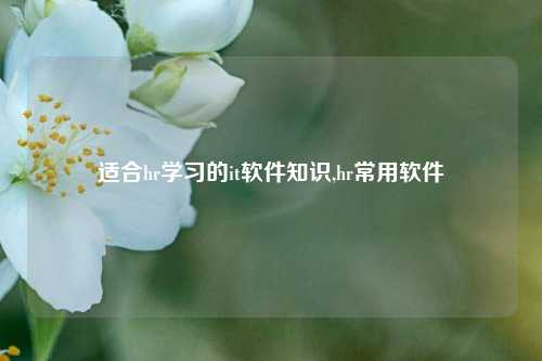 适合hr学习的it软件知识,hr常用软件