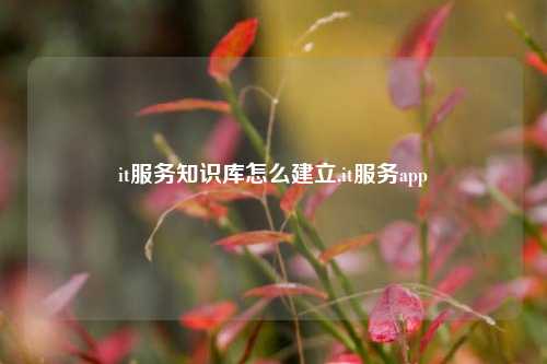 it服务知识库怎么建立,it服务app