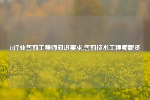 it行业售前工程师知识要求,售前技术工程师薪资