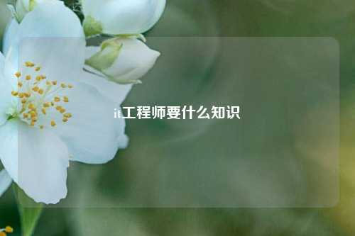 it工程师要什么知识