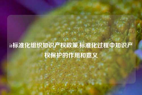 it标准化组织知识产权政策,标准化过程中知识产权保护的作用和意义