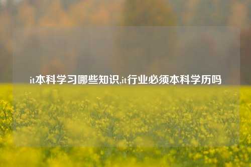 it本科学习哪些知识,it行业必须本科学历吗