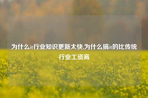 为什么it行业知识更新太快,为什么搞it的比传统行业工资高