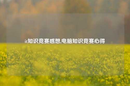 it知识竞赛感想,电脑知识竞赛心得