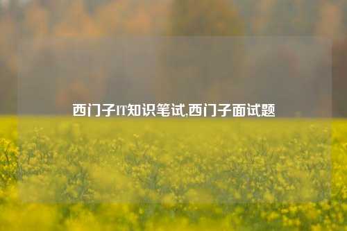 西门子IT知识笔试,西门子面试题