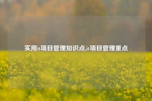 实用it项目管理知识点,it项目管理重点