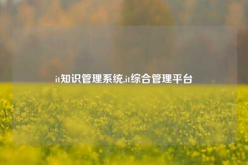 it知识管理系统,it综合管理平台