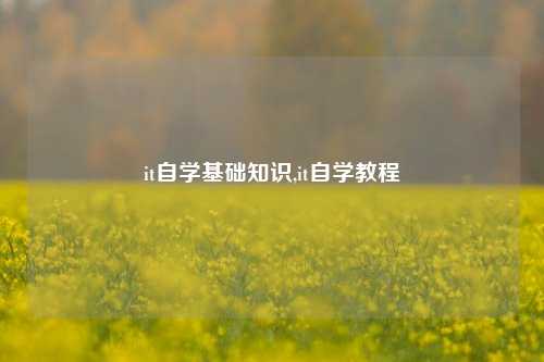 it自学基础知识,it自学教程