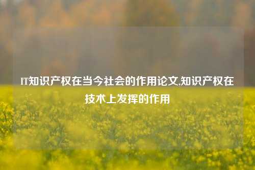 IT知识产权在当今社会的作用论文,知识产权在技术上发挥的作用