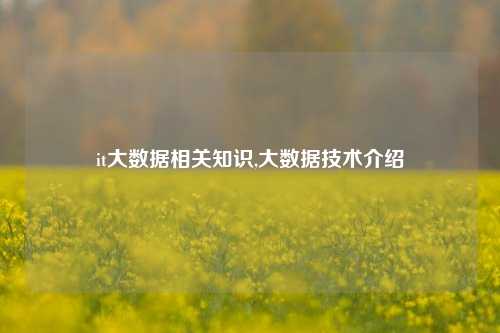 it大数据相关知识,大数据技术介绍