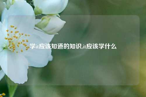 学it应该知道的知识,it应该学什么