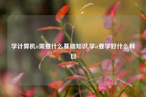 学计算机it需要什么基础知识,学it要学好什么科目