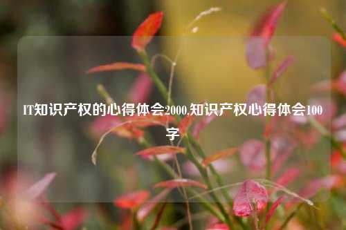 IT知识产权的心得体会2000,知识产权心得体会100字