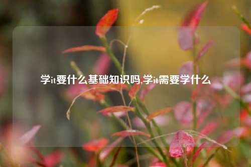 学it要什么基础知识吗,学it需要学什么