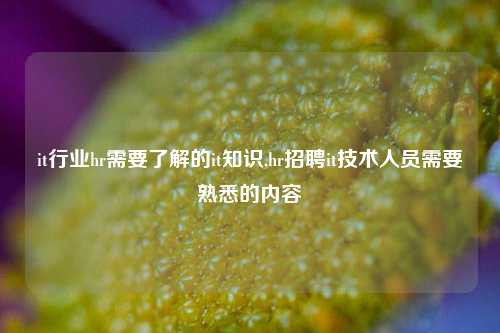 it行业hr需要了解的it知识,hr招聘it技术人员需要熟悉的内容