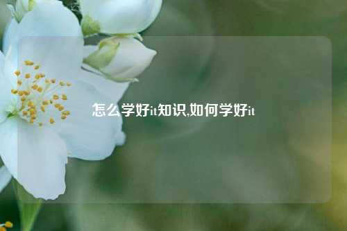 怎么学好it知识,如何学好it