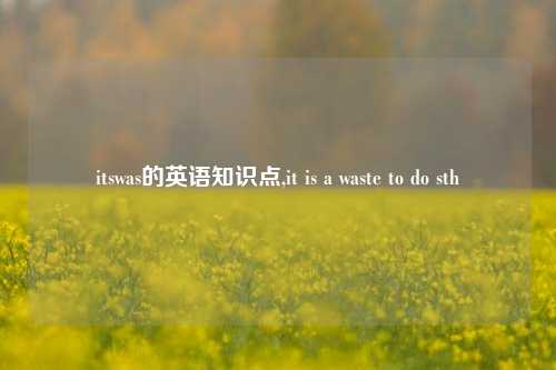 itswas的英语知识点,it is a waste to do sth