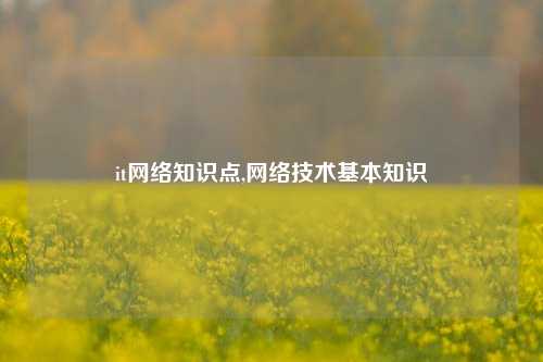 it网络知识点,网络技术基本知识