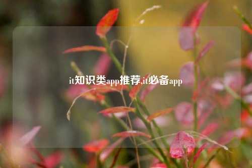 it知识类app推荐,it必备app