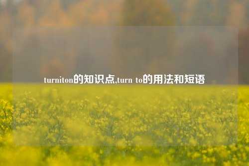 turniton的知识点,turn to的用法和短语