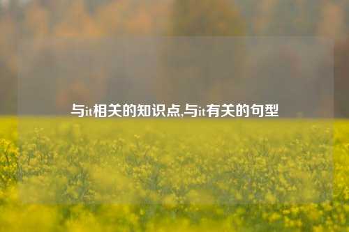 与it相关的知识点,与it有关的句型