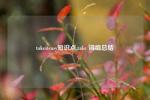 takeiteasy知识点,take 词组总结