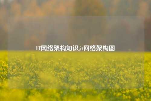 IT网络架构知识,it网络架构图