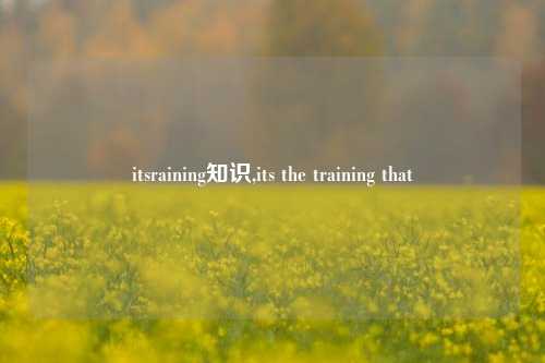 itsraining知识,its the training that