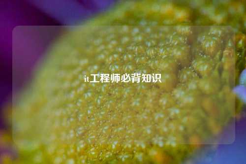 it工程师必背知识