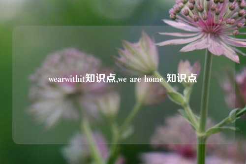 wearwithit知识点,we are home 知识点