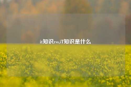 it知识rss,iT知识是什么