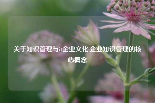 关于知识管理与it企业文化,企业知识管理的核心概念