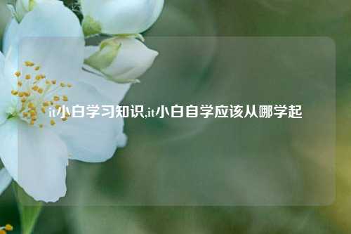 it小白学习知识,it小白自学应该从哪学起