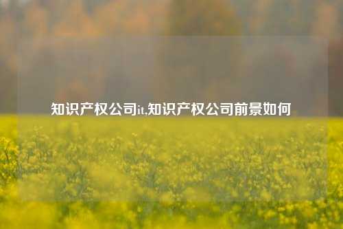 知识产权公司it,知识产权公司前景如何