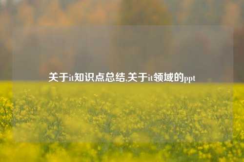 关于it知识点总结,关于it领域的ppt