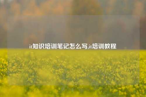 it知识培训笔记怎么写,it培训教程