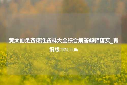 黄大仙免费精准资料大全综合解答解释落实_青铜版2024.11.06