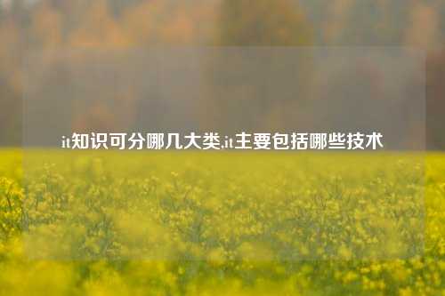 it知识可分哪几大类,it主要包括哪些技术