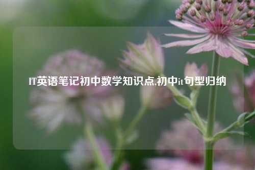 IT英语笔记初中数学知识点,初中it句型归纳