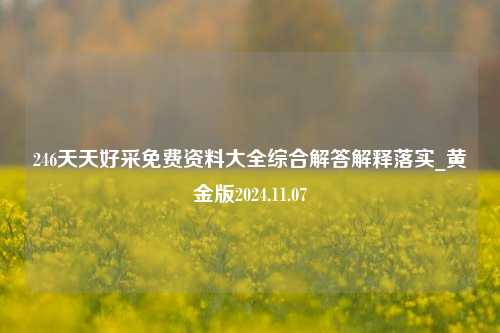 246天天好采免费资料大全综合解答解释落实_黄金版2024.11.07