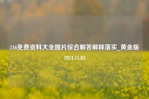 246免费资料大全图片综合解答解释落实_黄金版2024.11.03