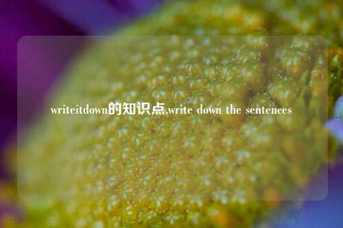 writeitdown的知识点,write down the sentences