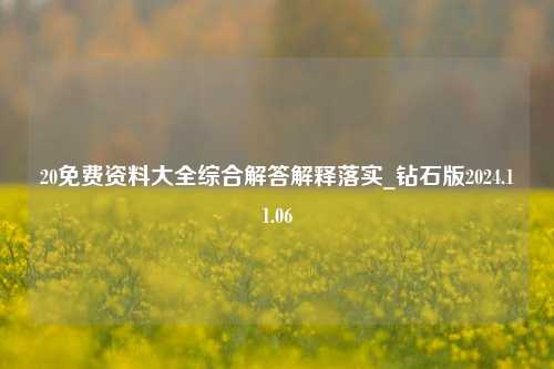 20免费资料大全综合解答解释落实_钻石版2024.11.06