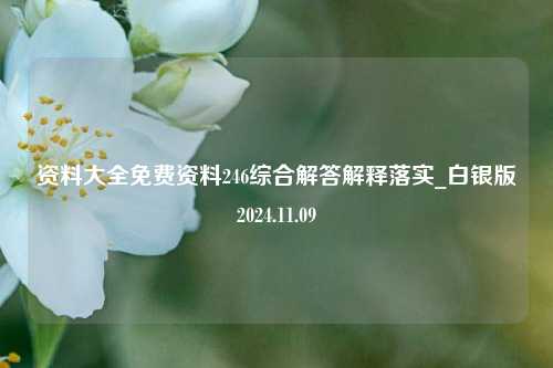 资料大全免费资料246综合解答解释落实_白银版2024.11.09