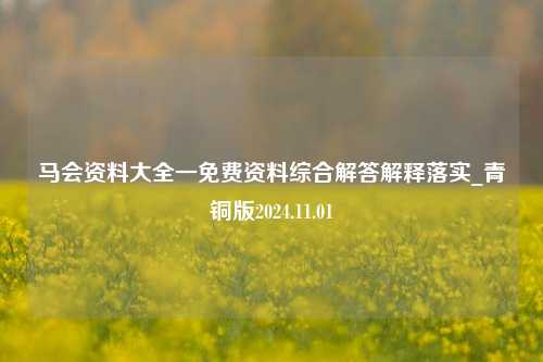 马会资料大全一免费资料综合解答解释落实_青铜版2024.11.01