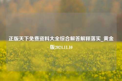 正版天下免费资料大全综合解答解释落实_黄金版2024.11.10