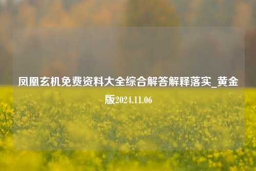 凤凰玄机免费资料大全综合解答解释落实_黄金版2024.11.06