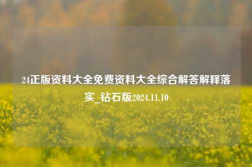 24正版资料大全免费资料大全综合解答解释落实_钻石版2024.11.10