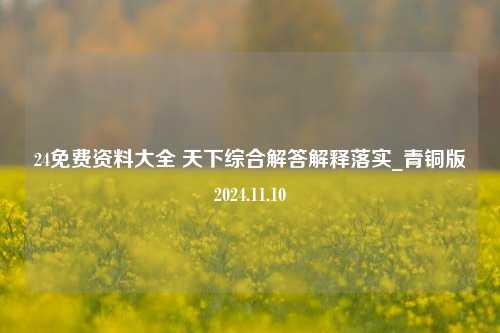 24免费资料大全 天下综合解答解释落实_青铜版2024.11.10